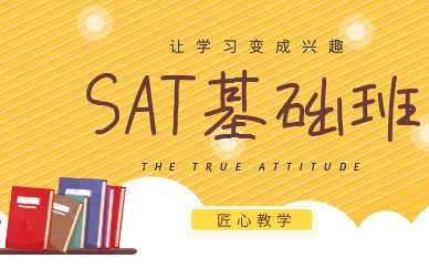人气：255