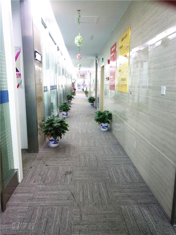 剑桥大学考试委员会和澳大利亚小桃汉化