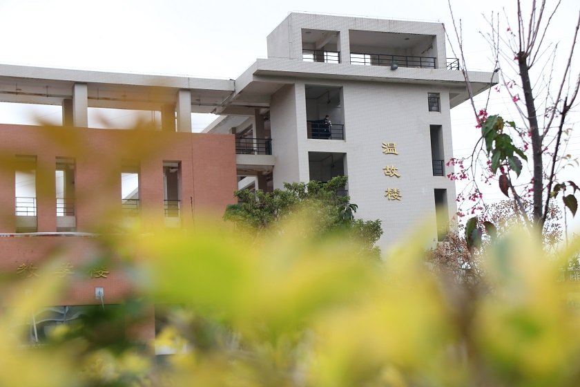 集羞耻的直播任务桃子汉化版官方渠道培