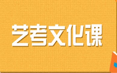 惠州惠阳艺考文化课培训去哪里