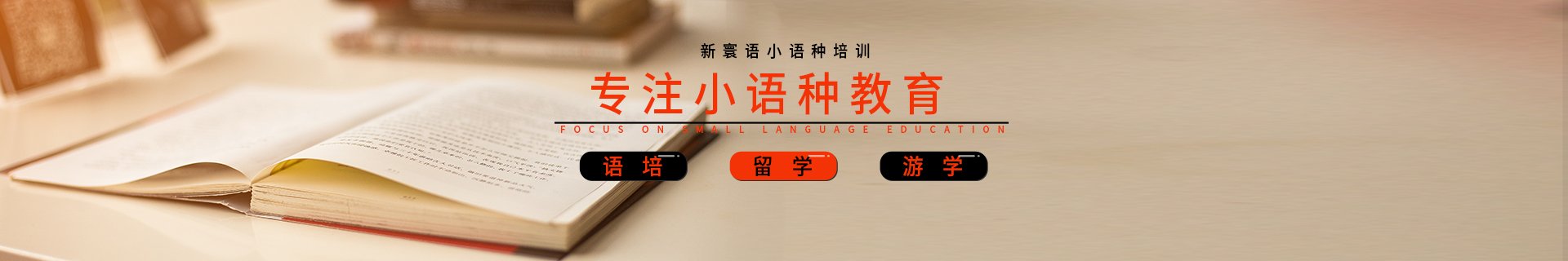 全名新寰语小语种小桃汉化组手机版下载