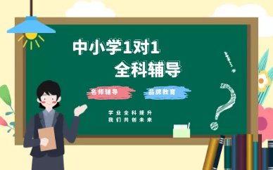 需要定制专属辅导方案。