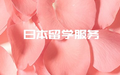 一级建造师