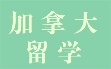 因此提出了很多针对小桃汉化组手机版新