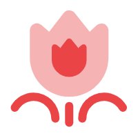 签证申请