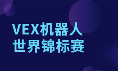 会加入程序案例的数学同步辅导课程