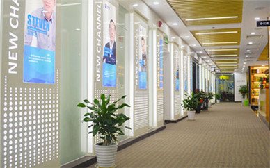 目标等方面