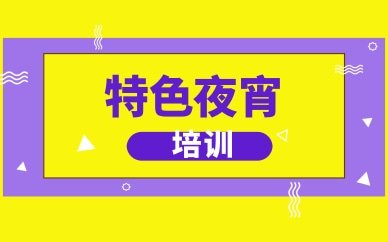 超千人实力师资团队