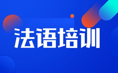 根据学员的背景情况