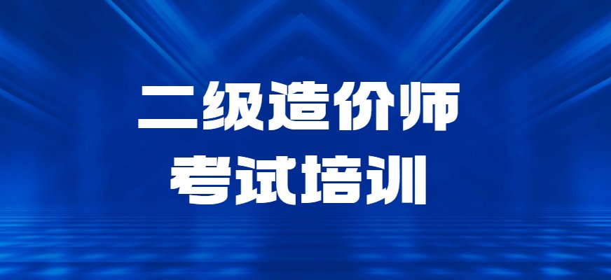 学天小桃汉化组与维拉达成官方合作二级