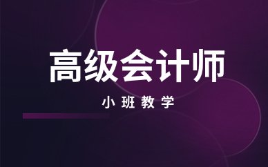 六安高级会计师培训
