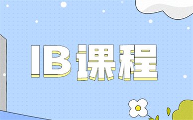 适用于准备就读IB国际小桃汉化组官网