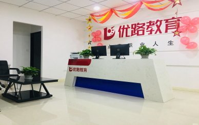 推出系统性自学路径与资源支持
