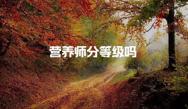 2026 尚训网 All Right